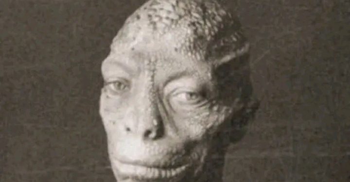 O reptiliano do Lago do Ubim, em Iranduba