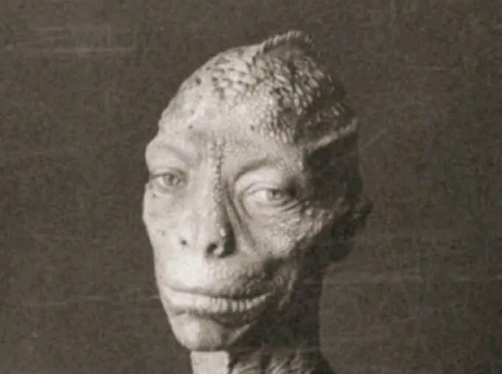 O reptiliano do Lago do Ubim, em Iranduba