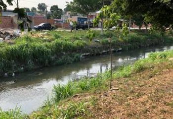 Começou nova invasão no Igarapé do Passarinho