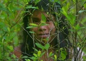 Nheengatu, a Língua Geral do Amazonas