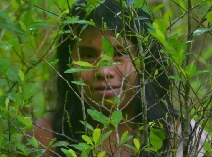Nheengatu, a Língua Geral do Amazonas