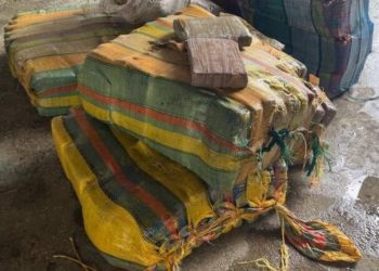 Mais 252 quilos de ‘supermaconha’ que vinham para Manaus são apreendidos pelos milicos