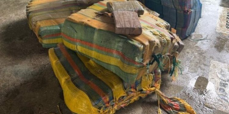 Mais 252 quilos de ‘supermaconha’ que vinham para Manaus são apreendidos pelos milicos