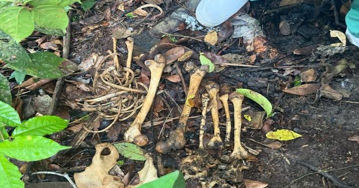 Restos mortais encontrados podem ser de jovem sequestrado em 2024