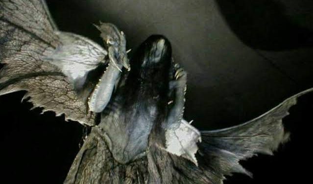 A fada da asa quebrada de Novo Airão