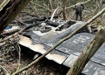 FAB abate avião venezuelano perto de Manaus