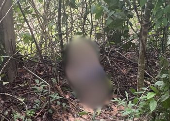 Facadas e tiros: Homem é levado para o ramal do Puraquequara para ser executado; VEJA