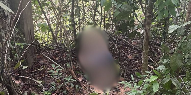 Facadas e tiros: Homem é levado para o ramal do Puraquequara para ser executado; VEJA