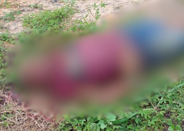 Tiros no rosto: homem é torturado e executado no Distrito; VEJA