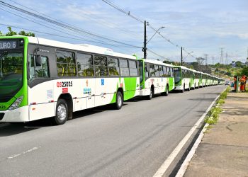 Entregues 19 novos ônibus