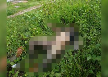 De calcinha e em estado avançado de descomposição, cadáver é encontrado na Av. Nilton Lins. Veja o vídeo