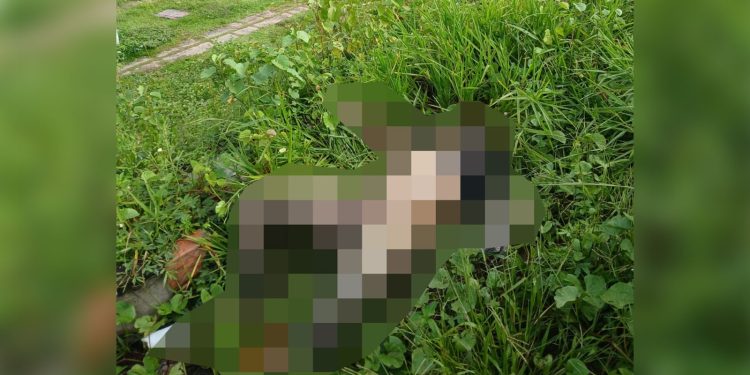 De calcinha e em estado avançado de descomposição, cadáver é encontrado na Av. Nilton Lins. Veja o vídeo