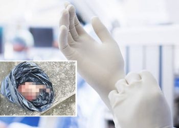 Barbaridade! Feto encontrado no lixo teria sido deixado por estudantes de enfermagem