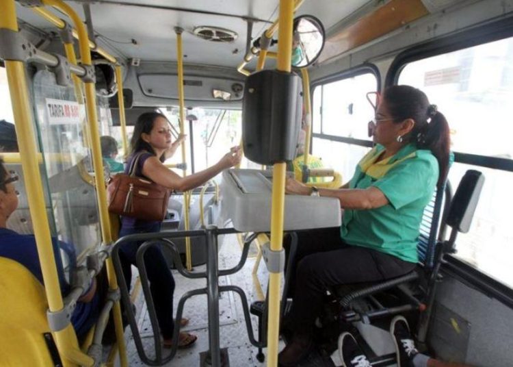 Canta curió…