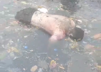 Boiando – Homem desaparecido após bloco de Carnaval é encontrado. Vídeo