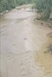 Encontrado crânio humano no igarapé do Val Paraíso
