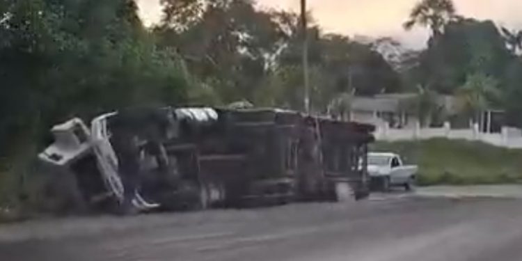 Tomba carreta na AM-010