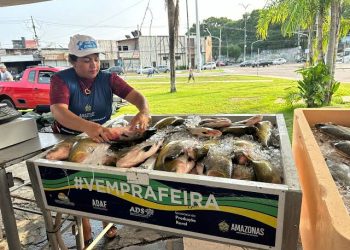 Feirão do Pescado 2025