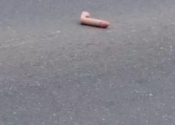 Vídeo. Alguém deixou cair “Brinquedinho” em avenida no Iranduba. Compartilhe para o dono achar