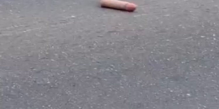 Vídeo. Alguém deixou cair “Brinquedinho” em avenida no Iranduba. Compartilhe para o dono achar