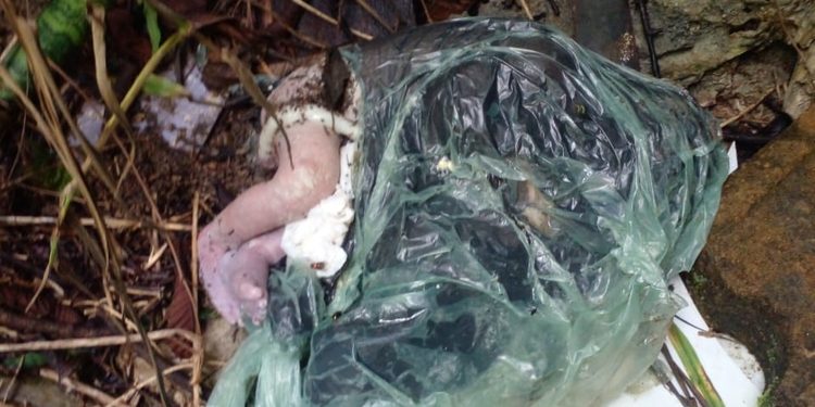 Bebê é encontrado morto dentro de saco de lixo