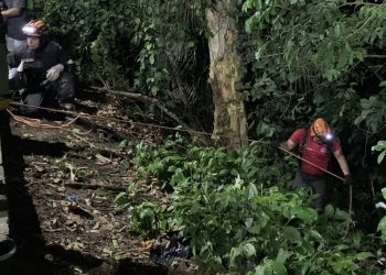 Perdeu o controle do veículo e abraçou a morte