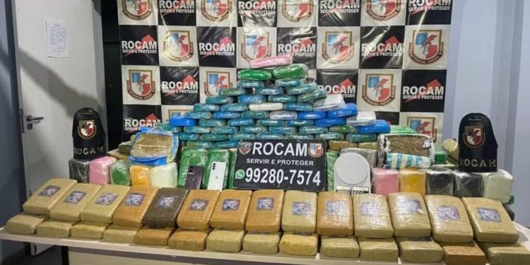 Casa servia de armazém – Traficante é presa” com 229 tabletes de drogas