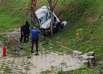 Invadiu empresa no Distrito e colidiu contra árvore