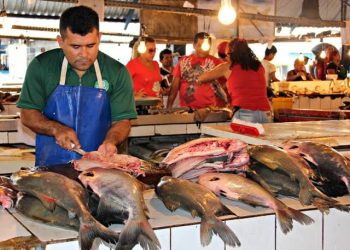 QUARESMA – Peixe custa os “olhos da cara” nas feiras Manaus Moderna e Panair