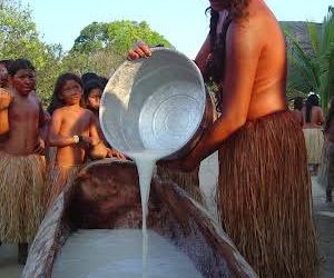 Caiçuma, a bebida tradicional dos indígenas da Amazônia