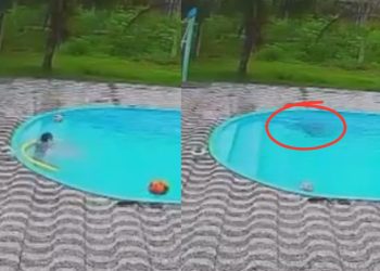 Menino de 5 anos morre afogado em piscina no Amazonas