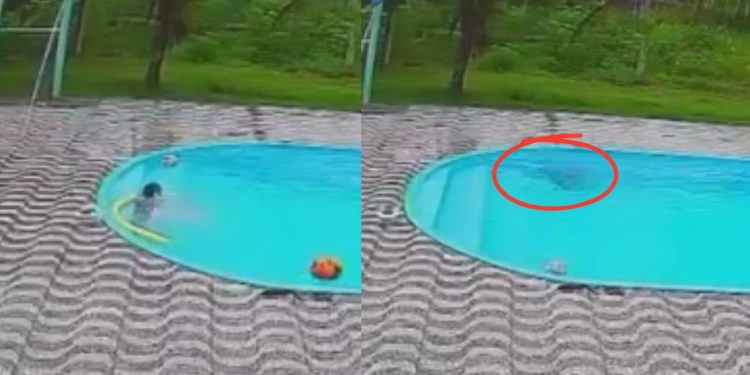 Menino de 5 anos morre afogado em piscina no Amazonas