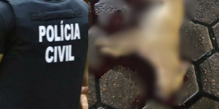 Policial civil é acusado de matar cadela a tiros no Hospital Platão Araújo: 'deveria dar exemplo'