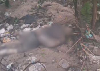 Amarrado e torturado: vídeo mostra corpo apodrecendo em área de mata na zona norte de Manaus