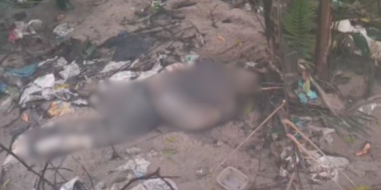Amarrado e torturado: vídeo mostra corpo apodrecendo em área de mata na zona norte de Manaus