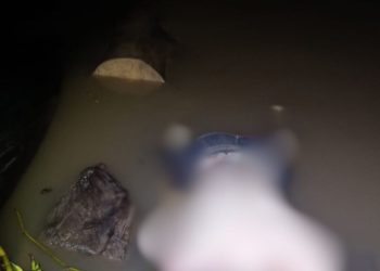 Corpo é achado boiando no rio sendo comido por peixes em Manacapuru