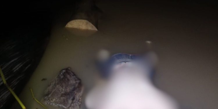 Corpo é achado boiando no rio sendo comido por peixes em Manacapuru