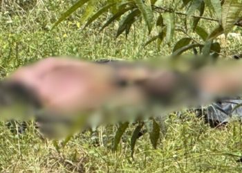 Amarrado e tiros na cabeça: veja o homem que foi encontrado morto no Tarumã