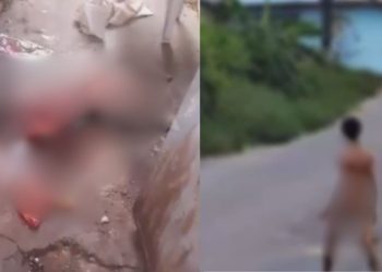 Cachorro fica com as vísceras para fora após ser dilacerado por homem em Manaus