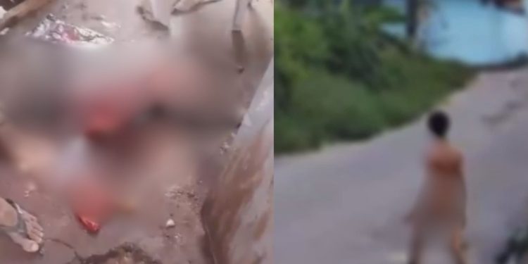 Cachorro fica com as vísceras para fora após ser dilacerado por homem em Manaus