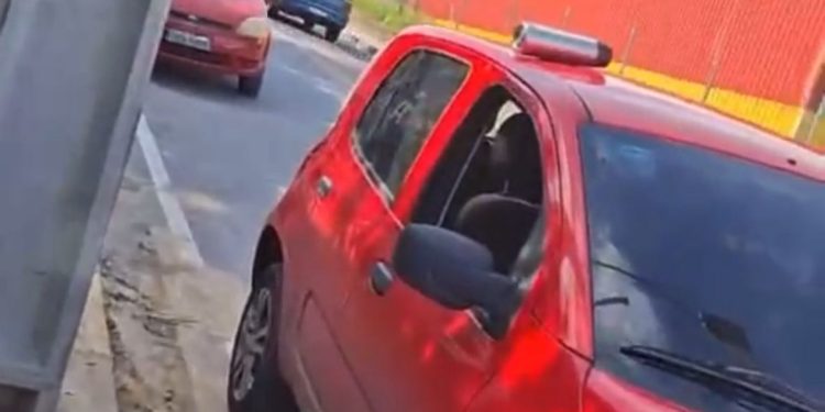 Bandidos furtam carros estacionados no Santa Etelvina. Veja vídeo