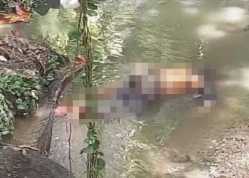 Vídeo forte – Encontrado com orelhas decepadas, perna e braço quebrados