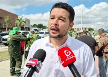 Parque Gigantes da Floresta recebe 500 novas mudas e reforço na arborização urbana