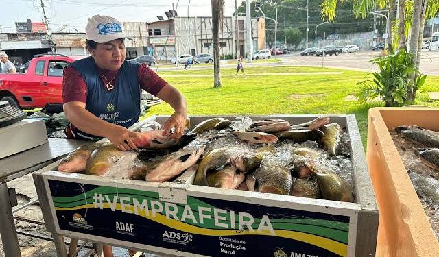 Feirão do Pescado acontece nesta quinta-feira (17) para a Semana Santa