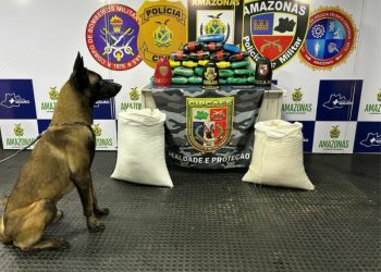 Saco de farinha recheado de drogas – 36 quilos