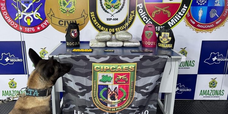 Deu uma de “boazuda” e foi em cana com drogas avaliadas em R$ 100 mil