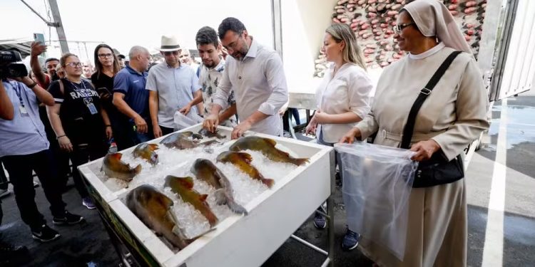 Feirão do Pescado para a Semana Santa; confira os pontos de venda