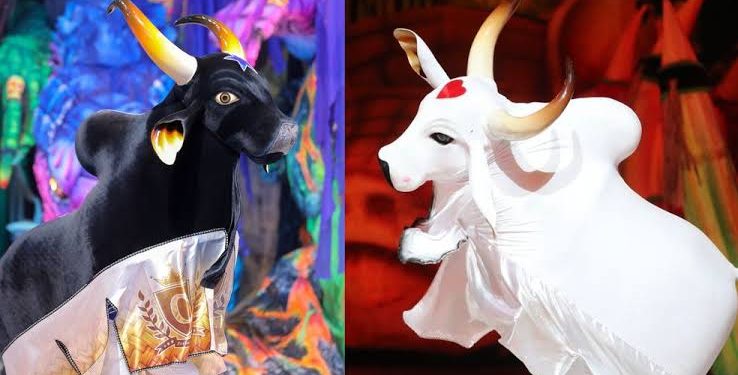 Domingo de toadas no Parque Rio Negro