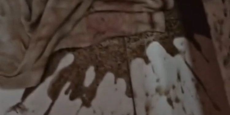 Após 24 horas de cárcere privado em motel, mulher é resgatada com sinais de tortura. Vídeo