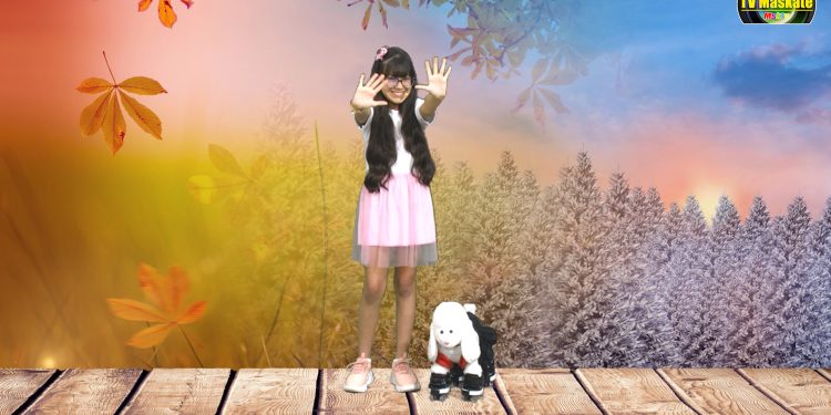 Teatrinho Infantil: As estações do ano